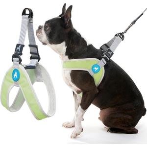 Gooby Simple Step in III Harness - Green, Large - Small Dog Harness with Scratch Resistant Outer Vest - Soft Inner Mesh Harness for Small, Medium Dogs (Large chest (18.523.75"))