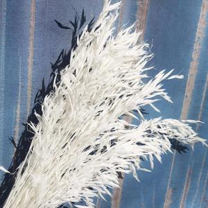 40 Stems Dried White Oat Flowers, 17'' Real Natural Bleached Avena Flowers Wheat Bunch for Wedding Decoration, Flora Boho Dcor, DIY Home Arrangement