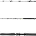 DAIWA BG Big Game, 1.68m, 5.50 Ft, 3 Parts, Progressive Action, Big Game Saltwater Fishing Rod