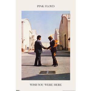 Pink Floyd - We Wish You Were Here Wall Poster, 34L" x 22.4W", Premium Unframed Version