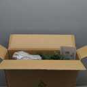 National Tree Company 24 in Pre-Lit Crestwood Spruce Artificial Christmas Wreath, Christmas Decoration with Glitter, Pinecones, Red Berries, 50 Clear Lights, 160 Tips, Green