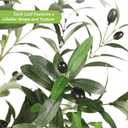 FEELEAD 7ft Olive Trees Artificial Indoor - Tall Faux Olive Tree 7 feet (84") with Pot, Fake Plants Natural Olive Branches and Realistic Leaves Olive Silk Tree for Home Office Decor