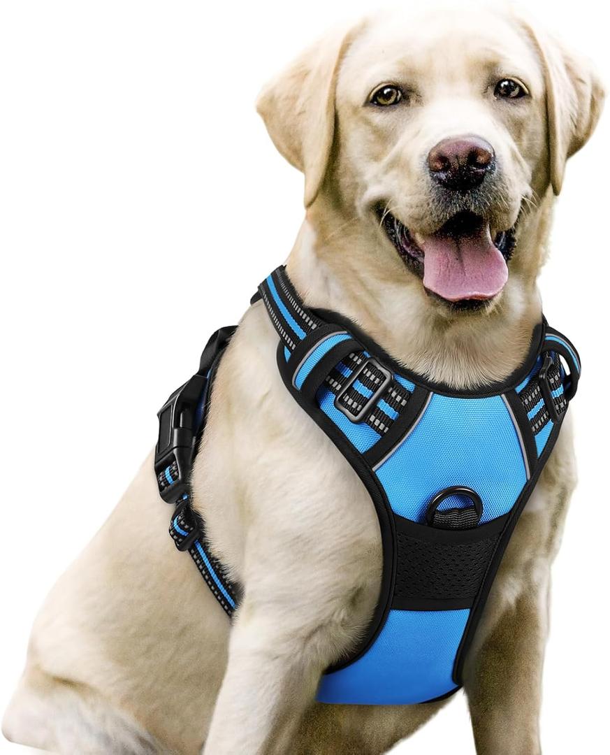 rabbitgoo Dog Harness No Pull with 2 Leash Clips, Adjustable Soft Padded, Reflective Oxford No Choke Pet Vest with Easy Control Handle for Large Dogs, Blue, L rabbitgoo Dog Harness No Pull with 2 Leash Clips, Adjustable Soft Padded, Reflective Oxford No Choke Pet Vest with Easy Control Handle for Large Dogs, Blue, L