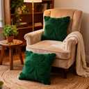 St Patricks Day Throw Pillow Covers Decorations 18x18 in 2-Piece Set,Green Pillow Covers Linen Spring Pillow Case Home Sofa St Patricks Day Decor.