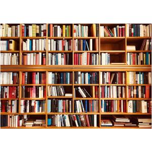 YYNXSY 7X5FT Bookshelf Backdrop Window Backdrops for Photography Backdrop Picture Vinyl backdrops for Photography Wedding Backgrounds for Photography Photo Studio Decoration Background YY-1001