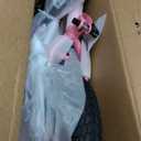 JOYSTAR Kids Bike for Ages 2-12 Years Old Boys Girls, 12-20 Inch BMX Style Kid's Bikes with Training Wheels, Children Bicycle for Kids and Toddler, Multiple Colors (Pink)