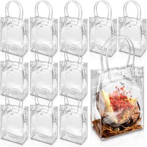 18 Pack Clear Gift Bags with Handles, 10" x 9.5" x 3.5" Reusable Transparent Party Favor Bags PVC Small Goodie Bags for Weddings, Birthdays, Baby Shower, Easter Treat Bags