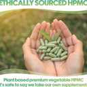 XPRS Nutra Size 00 Empty Vegan Capsules - 500 Count Clear Veggie Capsules for Essential Oils - Empty Vegetable Caps - DIY Filling Works with Most Oil, Exp Date: 12/31/26