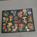 Galison World of Mushrooms – 1000 Piece Jigsaw Puzzle Featuring Beautiful Painted Artwork of A Mushroom and Fungi Collection