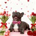 Maca Bates Valentine's Day Dog Collar with Fancy Bow for Medium Girl Boy Dogs,Tiedyed Love Hearts Pattern,Adjustable Durable Soft Valentine Gift for Female Male Puppy