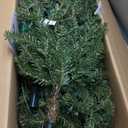 Puleo International 7.5ft Pre-Lit Slim Fraser Christmas Tree with 500 Clear Lights, 1453 Realistic Dense Branch Tips, Easy Setup Artificial Trees with Sturdy Metal Stand