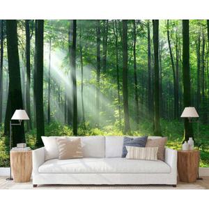 Sunshine Green Forest Wallpaper Natural Woodland Landscape Wall Mural for Bedroom Living Room (Not Self-Adhesive) (106" x 75")