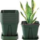 Fasmov 10 Pcs Square Nursery Pot 7 Inch Plastic Plant Pots with Drainage Hole Garden Flower Pots Nursery Plant Container, Flower Planters with Trays for Succulents Herbs Cactus, Green