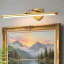 Hardwired Picture Lights for Wall,Gold Led Art Light for Painting,Modern Metal Picture Frame Light,3CCT Dimmable Poster Gallery Painting Bookshelf Portrait Lights for Pictures On Wall 8W, 24 Inch