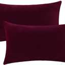 Velvet Lumbar Throw Pillow Covers 11 1/4 ×19.5"