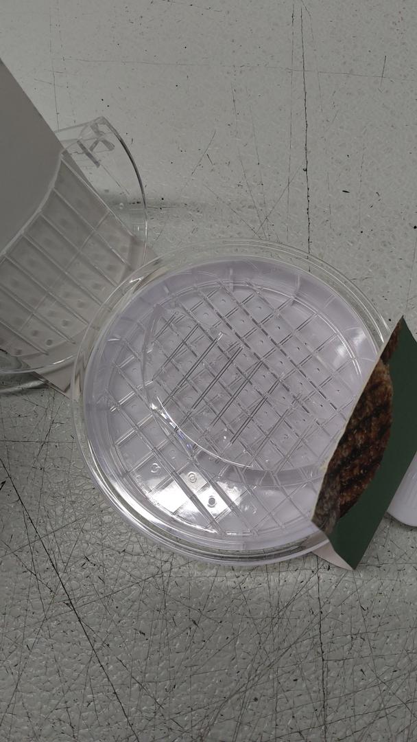 Good Living Plastic Hamburger Press, And Utilitiy Knife Good Living Plastic Hamburger Press, And Utilitiy Knife