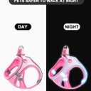 M Pink Soft Mesh Dog Harness and Leash Set,No Escape Puppy Harnesses for Training Walking Reflective Adjustable Puppy Vest for Small Medium Dogs, Cats (Pink, M)