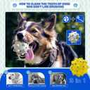 2 Pcs Tough ETPU Dog Balls for Aggressive Chewers - Bouncy, Interactive Floating Chew Toys for Fetch & Water Play with Small Medium Dogs