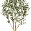 Realead Faux Olive Tree 7ft - Large Artificial Olive Tree Indoor with Realistic Leaves and Olives - Full and Grand Design Fake Olive Tree with Sturdy Base for Indoor Outdoor Office Decor