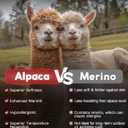 Juclise Alpaca Wool No Show Socks 2 pairs Men&Women Summer Midweight Socks Moisture Wicking Cushion Anti-blister (US, Alpha, Large, Regular, Regular, Dark Grey) (L)