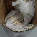 Evanda Gold Silverware Set 60 Piece Service for 20, Titanium Gold Plated Stainless Steel Flatware Set, Knives Forks Spoons Cutlery Set for Wedding, Parties, Birthday, Restauroom, Dishwasher Safe