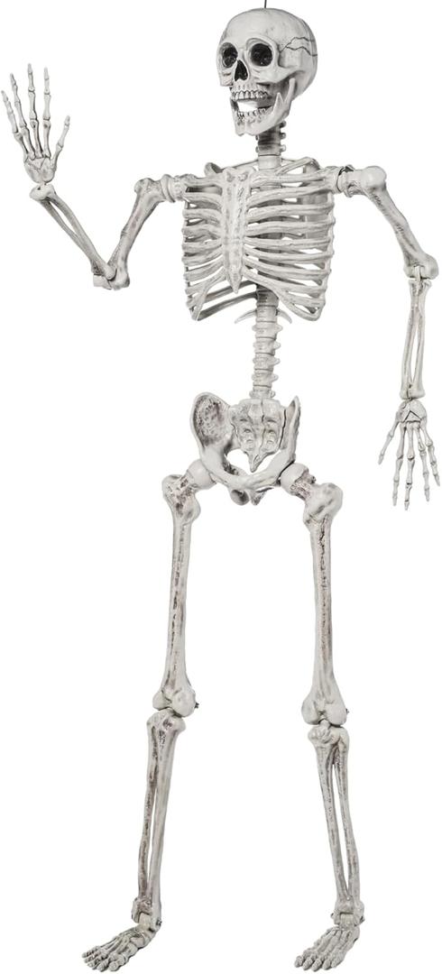 JOYIN 5.6 FT Halloween Posable Life Size Skeleton Full Body Realistic Bones with Movable Joints for Halloween Indoor and Outdoor Decoration Props Spooky Scene Party Decorations (White)