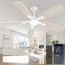 Ceiling Fans with Lights, 52 Inch Modern Ceiling Fans with Lights and Remote Control, DC Reversible Motor, Noiseless, 3CCT, Ceiling Fan for Bedroom, Living Room, Apartment Indoor/Outdoor Use