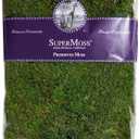 Super Moss 21513 Preserved Sheet Moss, Fresh Green, 16-Ounce