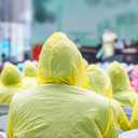12 Pack Clear Rain Ponchos with Hood for Adults, Family, 3 Colors 51.1 Inches Emergency Raincoats
