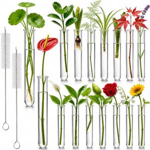 Test Tubes for Plants, 16 Pack 20ml Clear Acrylic Plant Propagation Tubes with 2 Cleaning Brushes, Round Bottom Design, Watch Roots Grow, Home Office Desk Decor, Science Experiments
