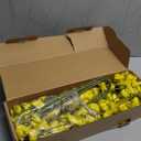 10pcs Outdoor Faux Flowers UV Resistant Artificial Fake Pansies Flowers with Greenery Eucalyptus Silk Pansy Faux Spring Flower for Outside Garden Yard Planters Window Box Home Decor(Yellow)