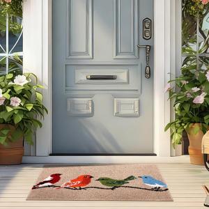 Dunzy Colorful Spring Birds Front Door Mat Indoor Outdoor Entrance 36"x24" Door Mat with Heavy Duty Backing Birds Welcome Mats for Entryway, Porch Doormats Outdoor Indoor Entrance Anti-Slip