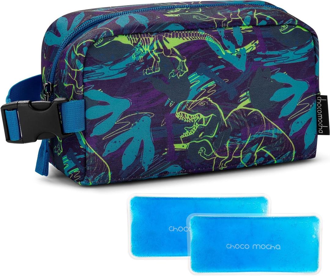Choco Mocha Small insulated Snack Bag Kids Freezer Snack Bags Small Cooler Bag for Kids, School Insulated Lunch Bags, Dinosaur Blue (Boys)