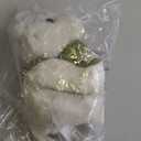 Compendium  an Adorable Stuffed Arctic Fox Plush, Companion to The Book Why Not?, 5.25" L x 5.75" W x 8" H