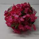 Fuchsia Bougainvillela Artificial Flower Garland 5.9FT Lush Bougainvillea Hot Pink Artificial Vine Flowers for Centerpieces Table Runner Wedding Arch Porches Patios Garden Decor (Hot Pink)