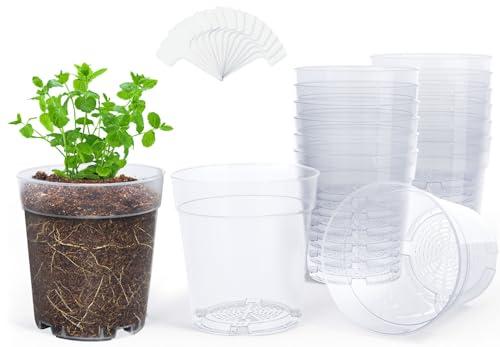 homenote Clear Nursery Pots for Plants,6.7 Inch Plant Pot for Planting Plastic Seedling with Drainage Holes Seed Starter Flower High Transparency with 20 Labels (15 Pack)