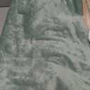 Bedsure Waterproof Dog Blankets for Medium Dogs - Medium Cat Blanket Washable for Couch Protection, Sherpa Fleece Puppy Blanket, Soft Plush Reversible Throw Furniture Protector, 30"X40", Light Green