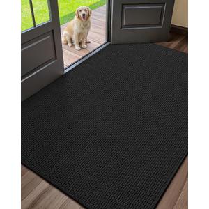 Color&Geometry Large Thin Front Door Mat Indoor Entrance Non Slip Rubber Backed, 32"x48" Indoor Door Mats for Entryway, Dirt Trapper Double Doormat, Washable Front Door Rugs, Ebony Black