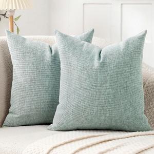 Jepeak Decorative Throw Pillow Covers Pack of 2 Chenille Cozy Modern Concise Cushion Cases for Bedroom Sofa Couch Home Decoration, Lightcyan+brown Thread, 24 x 24 Inches