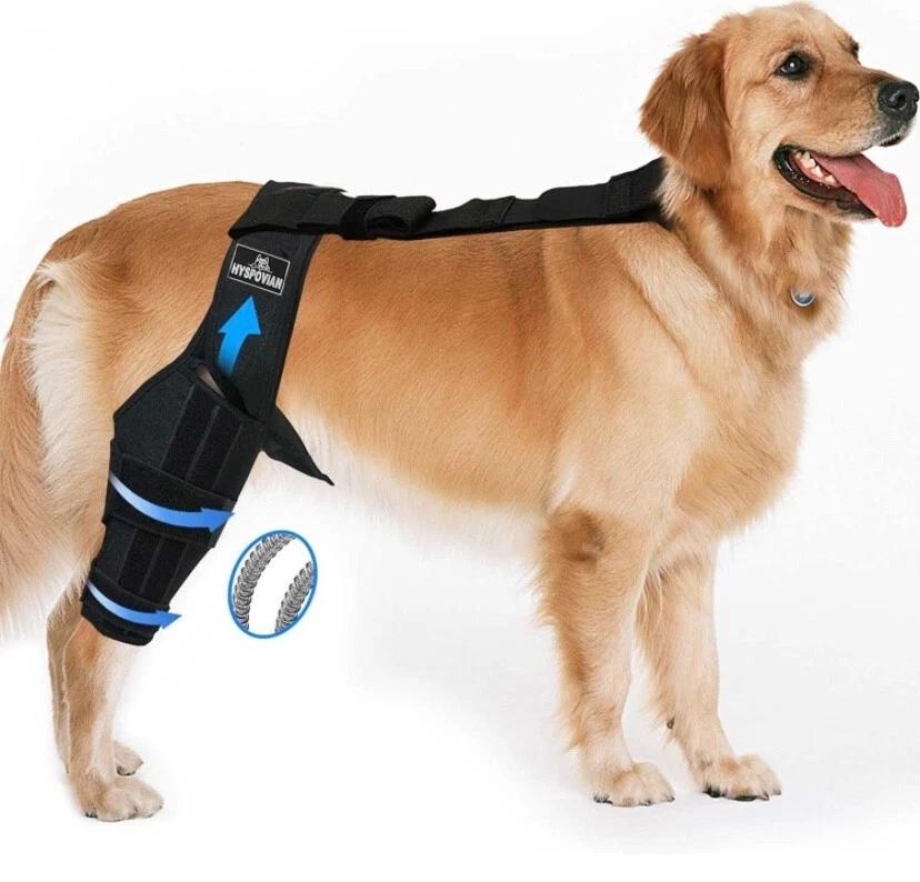 Hyspovian Adjustable Dog Leg Brace Universal for Limbs with Extra Straps, Dog Knee Brace for Torn ACL Hind Leg, CCL Sprain, Tear Ligament, Tendons Small Tear or Strained, Protects Wounds(Size: M)