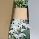 Ling's moment Artificial Greenery Stems Box Set, 15pcs with 4 Kinds of Faux Greenery Picks for DIY Bridal Bouquets Wedding Floral Arrangement Table Centerpieces, Tender Green & Sage Green