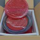 KOMUEE Glass Mixing Bowls with Lids Set, 4-Piece Nesting Kitchen Bowls for Salad, Serving, and Baking, Oven Safe Glass Bowl