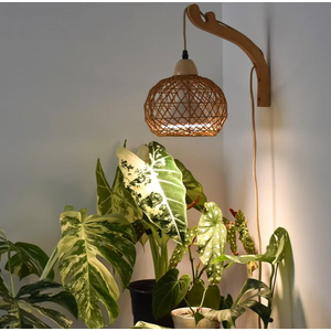 Bstrip Hanging Grow Lights for Indoor Plants, 18W Full Spectrum Plant Light, Boho Rattan Lantern Shade, 3800K Wall-Mounted Decorative Grow Light with 9.8FT Power Cord for Indoor Plant Growing, Flowers