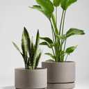 LE TAUCI Large 14 Inch Plant Pot with Saucer | Ceramic Outdoor & Indoor Big Planter Pot | Drainage Hole, Mesh Pad | Unglazed Porous | Modern Minimalist for Home and Patio Neutral Gray