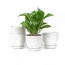 Sureasy Ceramic Indoor Plant Pots - 5.6 Inch Flower Pots for Plants with Drainage Hole and Saucer, Embossed Planter for Succulents, Orchid, Cactus, Indoor Home Decor, Set of 4, White