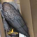 chisheen Bald Eagle Outdoor Metal Yard Art Statue and Sculpture for Garden Lawn Patio Living Room Decoration