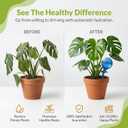 Little Green Leaf Automatic Plant Watering Globes Self Watering Planter Inserts (Set of 4) | Hands Free Multicolor Glass Bulbs | Planter Spikes to Support Indoor & Outdoor Plant Health (100ml)