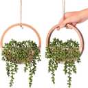 JUSTOYOU 2pcs Fake Hanging Plants Artificial Succulents Wooden Hanging Planter Artificial String of Pearls with Pot and Lanyard for Living Room Bathroom Indoor Outdoor Boho Wall Decor