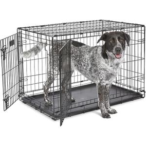 MidWest Homes for Pets 36-Inch iCrate for Medium-Large Breeds, 41-70 lbs, Double Door Folding Dog Crate with Divider Panel, Leak-Proof Tray & Secure Latches, Portable, Durable & Easy to Assemble