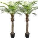 2 Pack Artificial Sago Palm Tree 6ft - Realistic Fake Sago Palm Plants for Indoor/Outdoor Decor - Low Maintenance Tropical Faux Trees with Sturdy Base - UV Resistant, Lifelike Design